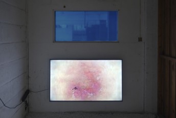 Gregory Chatonsky_BIP2020_ExhibitionViews-©G.Chatonsky