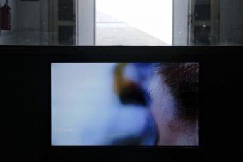 Gregory Chatonsky_BIP2020_ExhibitionViews-©G.Chatonsky