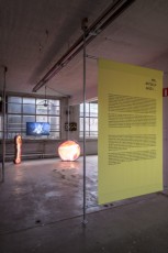 Me, Myself and I_BIP2020_Installation views_©M.Wendelski