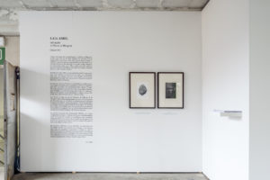 Laia Abril, On Rape_Bip 2020 Exhibition views