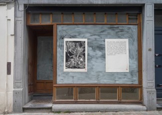 Gourmandise I et II 50-100, xylographie, 70 x 100 cm, Place du Chatelain